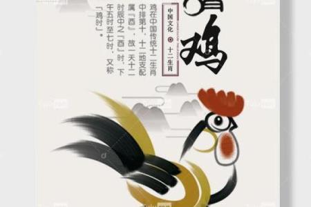十二生肖鸡的最佳配对 鸡最佳配对是哪几个生肖