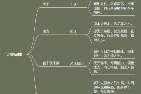 八字丁卯日柱：性格解析、命运分析与事业发展预测