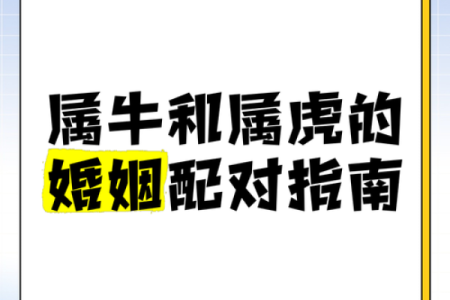 属虎正缘出现在哪年 属虎人婚姻配对表