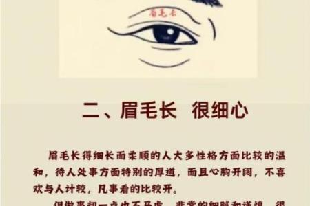 八字眉毛男人面相分析 男生八字眉一夫多妻