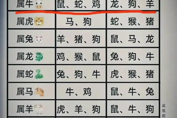 生肖兔配对猴姻缘表 生肖兔和生肖猴配不配？