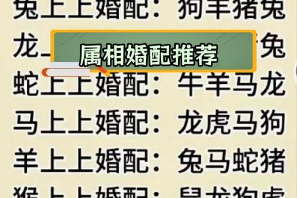 1998女虎婚姻配对 与属马相处融洽生活幸福