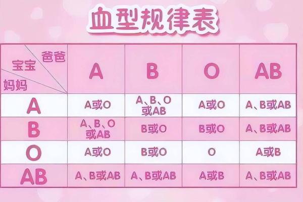 怎样企业培养不同血型的小孩