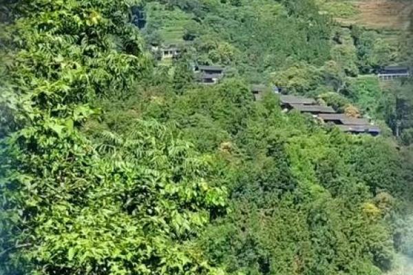风水故事：破人风水，损人害己