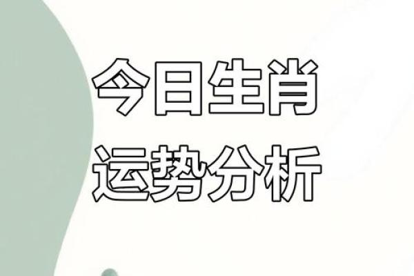 生肖猴出生日期，手把手教你如何选好吉日