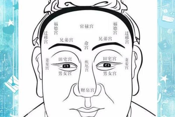 相书算命面相 相书中的面相能算命吗