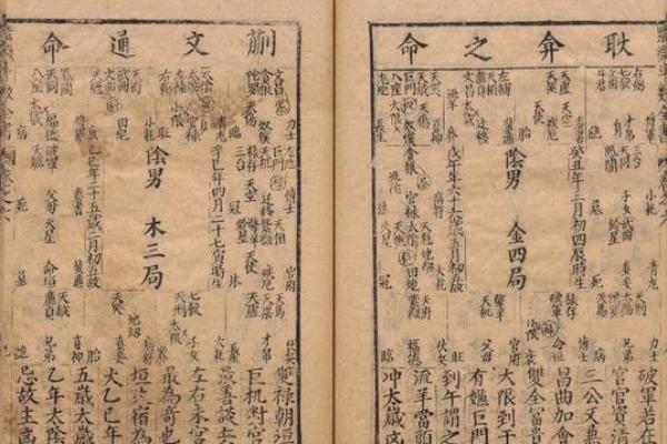 紫薇斗数文机