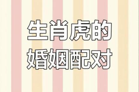 1998女虎婚姻配对 与属马相处融洽生活幸福