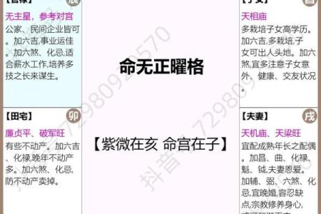 紫薇斗数宫职