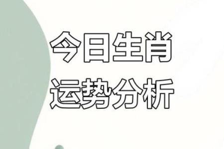 生肖猴出生日期，手把手教你如何选好吉日