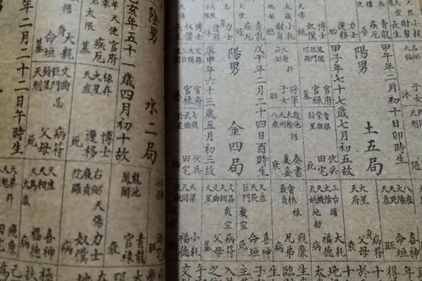 紫薇斗数看谁漂亮