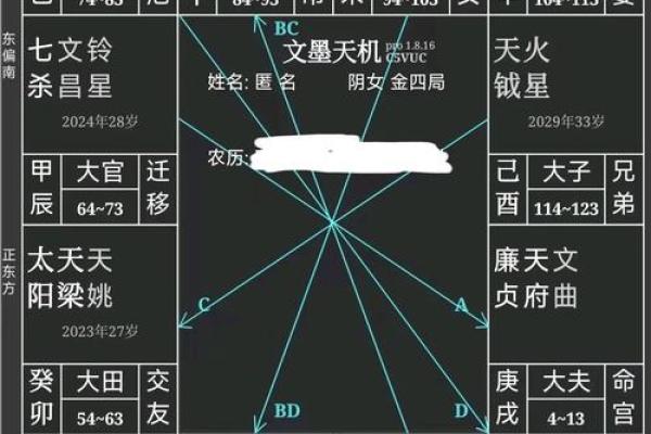 广州看紫薇斗数