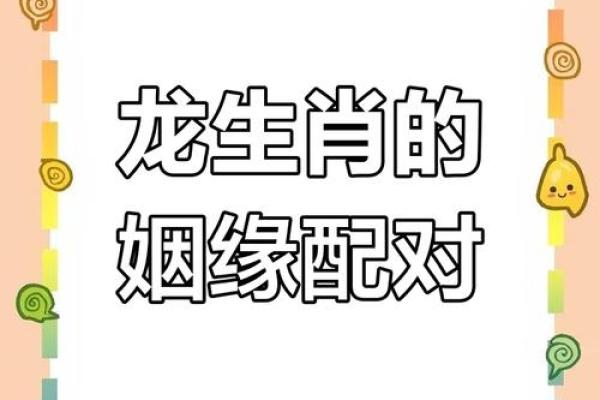 生肖龙和配对的魂伴