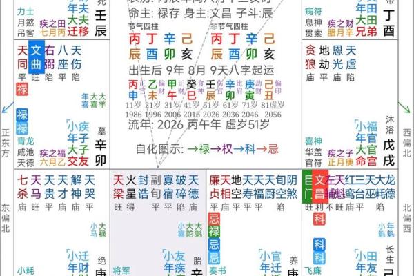 紫薇斗数软件破解