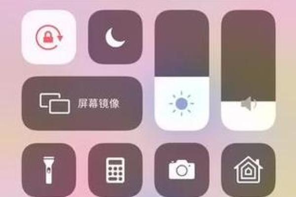用计算器能测出小姐姐的星座吗
