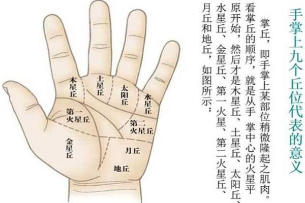 手相算命图解：3种手掌纹路看你是否能暴富，大富大贵享不尽