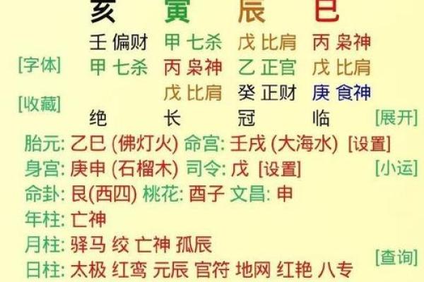 亥时的八字