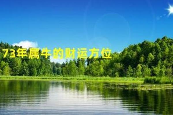 属牛的住什么方位容易沉着冷静
