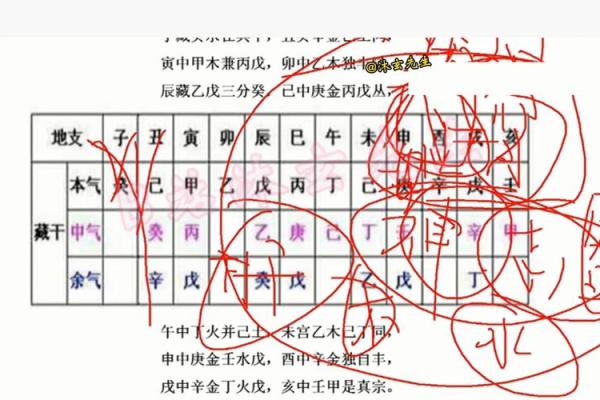 八字怎么看官星,八字中的藏干官星算不算