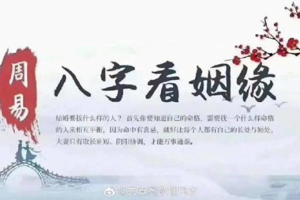 10月感悟｜痴迷于算命到底是为什么？高级的休息其实是专注