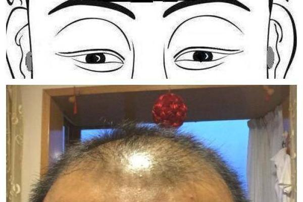 面相奇术：摸骨看面相算命口诀