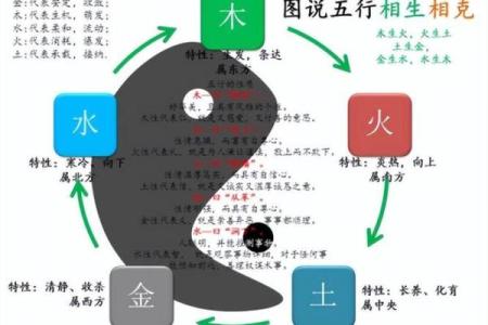 八字丁壬化