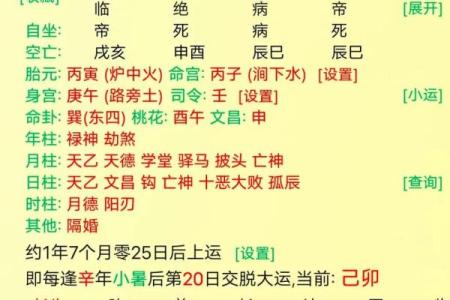 八字真传技术公开