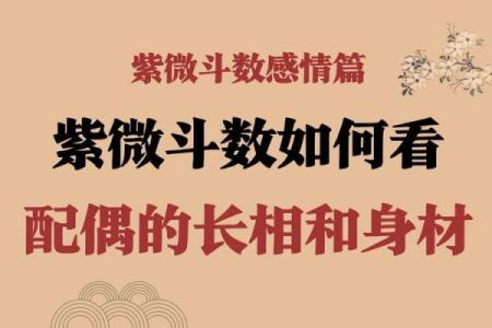 紫薇斗数看谁漂亮