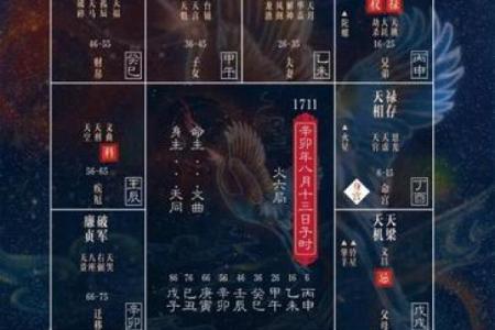 广州看紫薇斗数