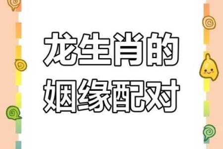 生肖龙和配对的魂伴