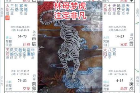 紫薇斗数灵匣