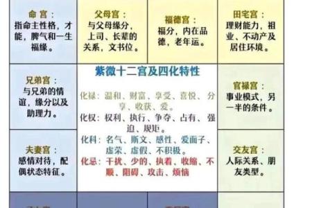 紫薇斗数讨论