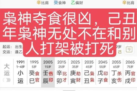 八字命理：你缺的不是基础，而是一篇文章