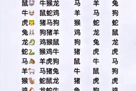 生肖配对查询表