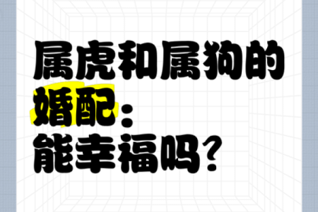 生肖配对看属狗属猴的婚姻怎么样