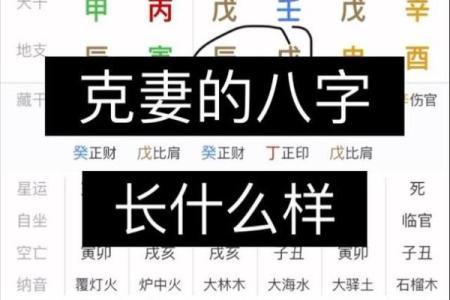 八字男克妻