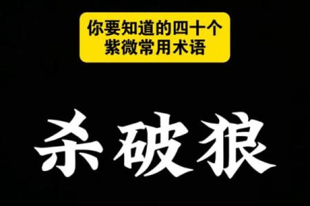 韩信紫薇斗数