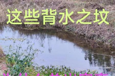风水国师