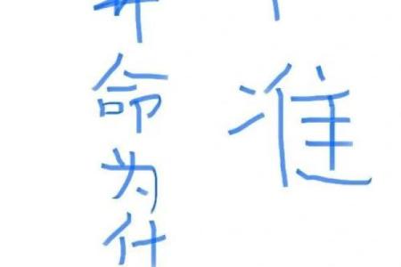 10月感悟｜痴迷于算命到底是为什么？高级的休息其实是专注