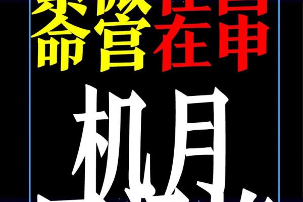 紫薇斗数亨利