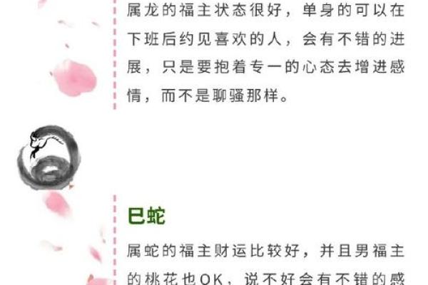 姓名与命运免费测试