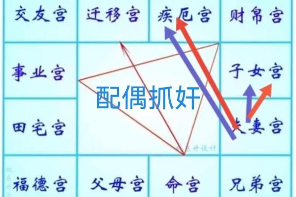 紫微斗数诸星落命宫之:天月星详解 紫微斗数诸星落命宫之:天月星详解