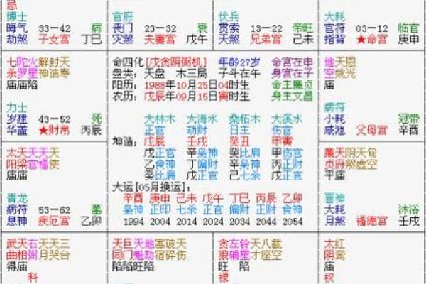 流年运势紫薇斗数