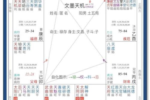 紫薇星斗数排盘元亨