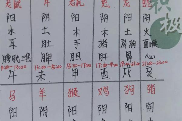 生辰八字阳日