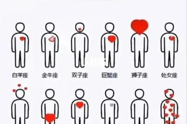 水瓶适合跟哪个星座做朋友