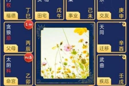 紫薇斗数生子