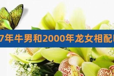 龙女配牛男旺夫吗 女龙男牛爱情配对