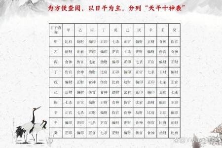 探讨八字运势的内涵，揭秘八字的奥妙！
