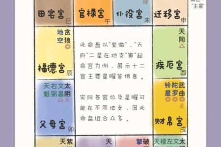 紫薇斗数免费排盘测试